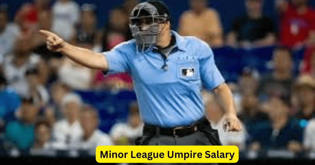 Minor League Umpire Salary
