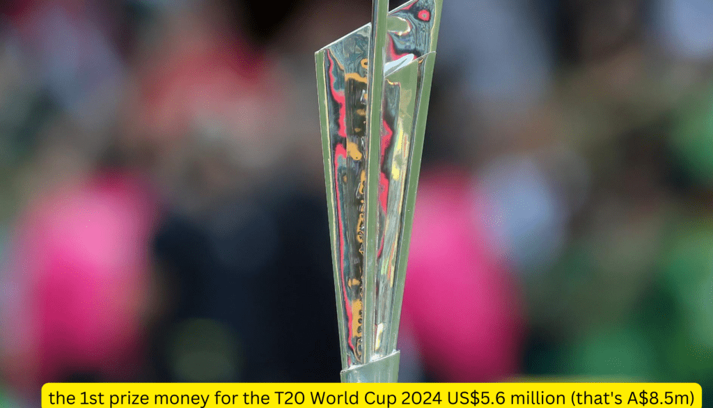 T20 World Cup 2024 budget
